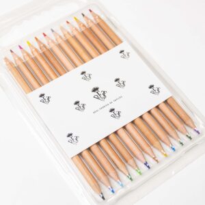 Lapiceros de colores